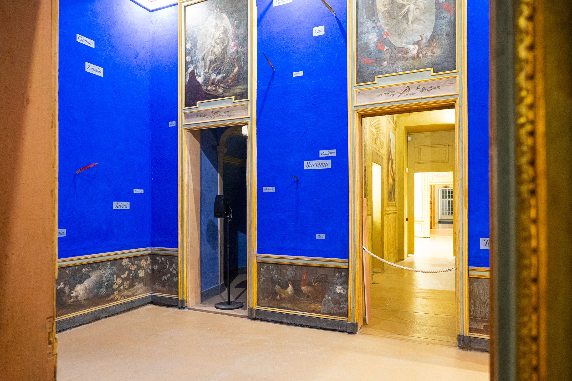 u0022I suoni del mondo / Sounds of the worldu0022, veduta espositiva